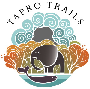 TAPRO TRAILS_AI_BY VVB-01-01