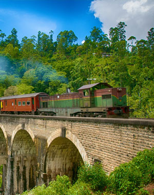 Cultural Triangle & Hill Country Explorer (7 Days / 6 Nights)