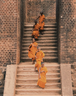 Visit Sri Lanka 6 Days 5 Nights