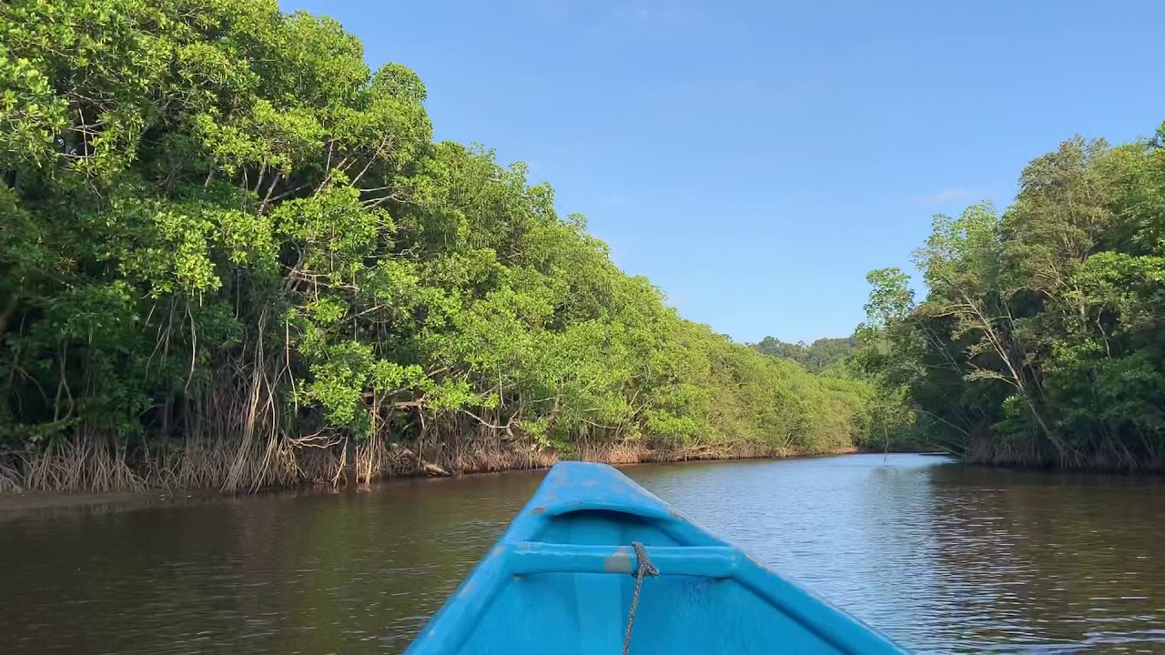 Mangrove Sunset Boat Ride — Half Day Tour